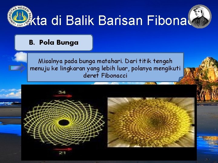 Fakta di Balik Barisan Fibonacci B. Pola Bunga Misalnya pada bunga matahari. Dari titik