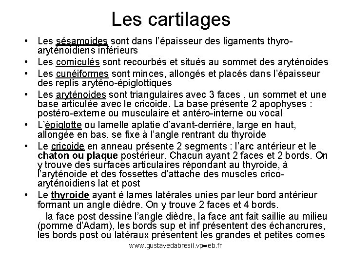 Les cartilages • Les sésamoides sont dans l’épaisseur des ligaments thyroaryténoidiens inférieurs • Les