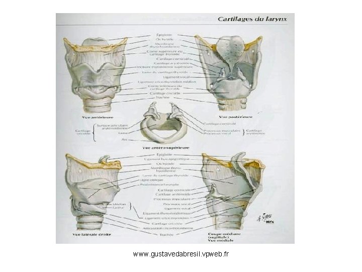 www. gustavedabresil. vpweb. fr 