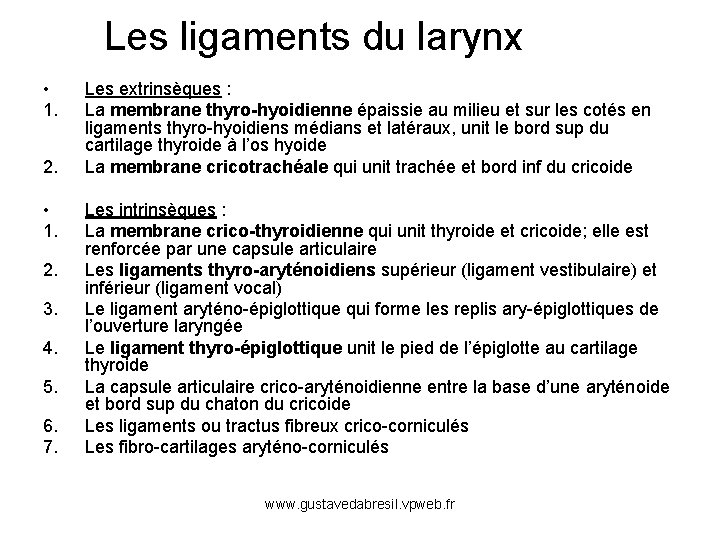 Les ligaments du larynx • 1. 2. 3. 4. 5. 6. 7. Les extrinsèques