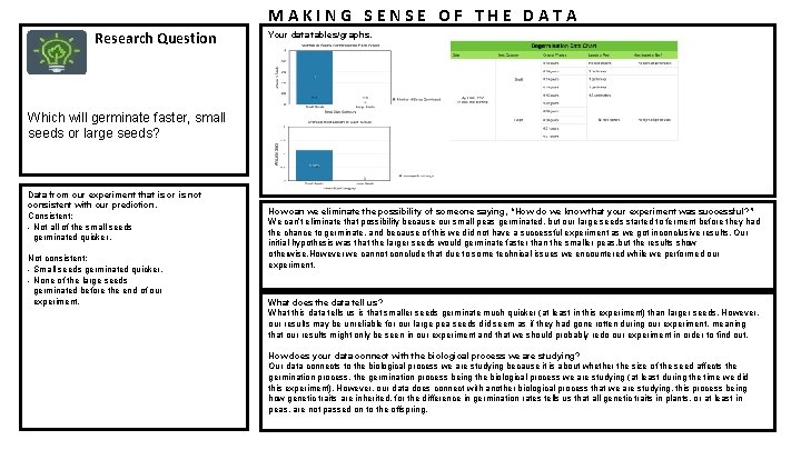 MAKING SENSE OF THE DATA Research Question Your data tables/graphs. Which will germinate faster,