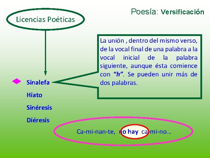 Licencias Poéticas Sinalefa Poesía: Poesía Versificación La unión , dentro del mismo verso, de