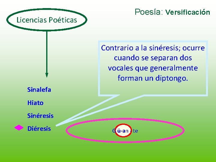 Licencias Poéticas Poesía: Poesía Versificación Contrario a la sinéresis; ocurre cuando se separan dos