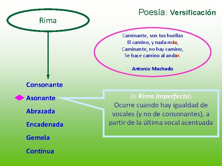 Rima Poesía: Poesía Versificación Caminante, son tus huellas El camino, y nada más, Caminante,