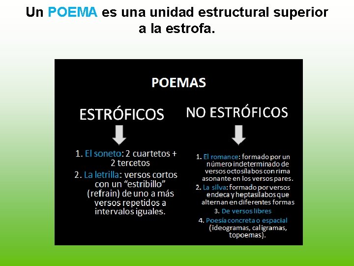 Un POEMA es una unidad estructural superior a la estrofa. 