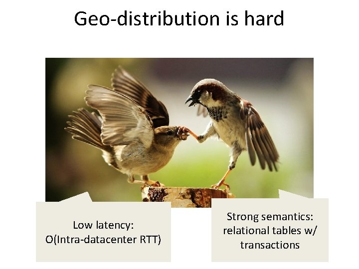 Geo-distribution is hard Low latency: O(Intra-datacenter RTT) Strong semantics: relational tables w/ transactions 