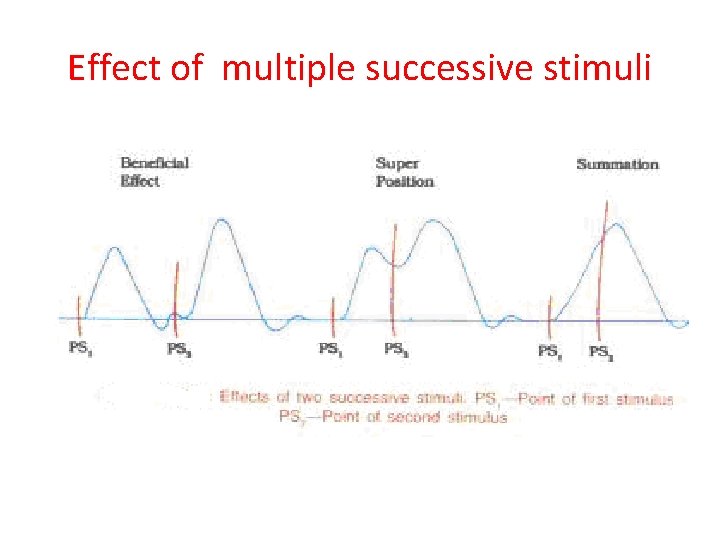 Effect of multiple successive stimuli 