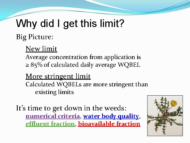 Why did I get this limit? Big Picture: New limit Average concentration from application