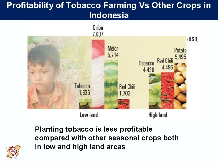 Profitability of Tobacco Farming Vs Other Crops in Indonesia Planting tobacco is less profitable