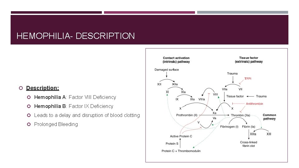 HEMOPHILIA- DESCRIPTION Description: Hemophilia A: Factor VIII Deficiency Hemophilia B: Factor IX Deficiency Leads