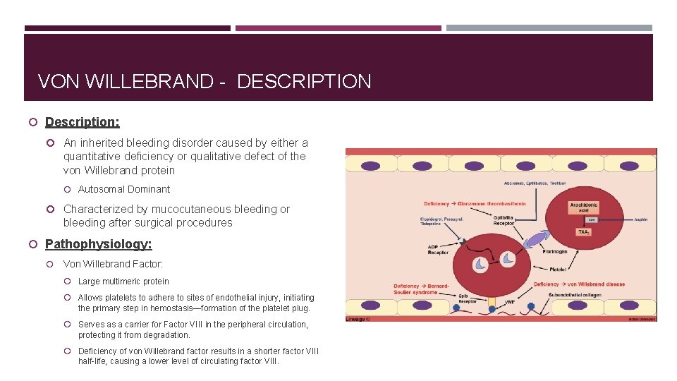 VON WILLEBRAND - DESCRIPTION Description: An inherited bleeding disorder caused by either a quantitative
