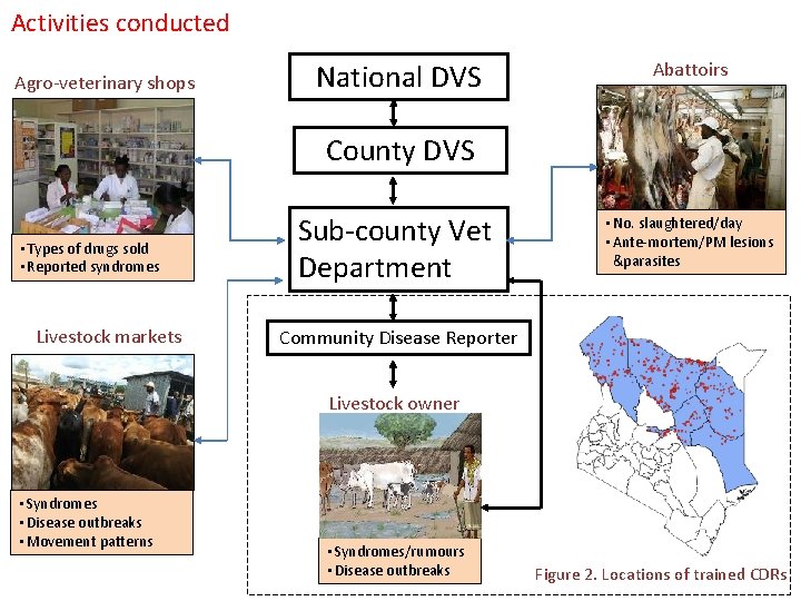 Activities conducted Agro-veterinary shops National DVS Abattoirs County DVS • Types of drugs sold