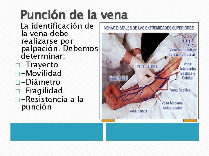 Punción de la vena La identificación de la vena debe realizarse por palpación. Debemos Punción de la vena La identificación de la vena debe realizarse por palpación. Debemos