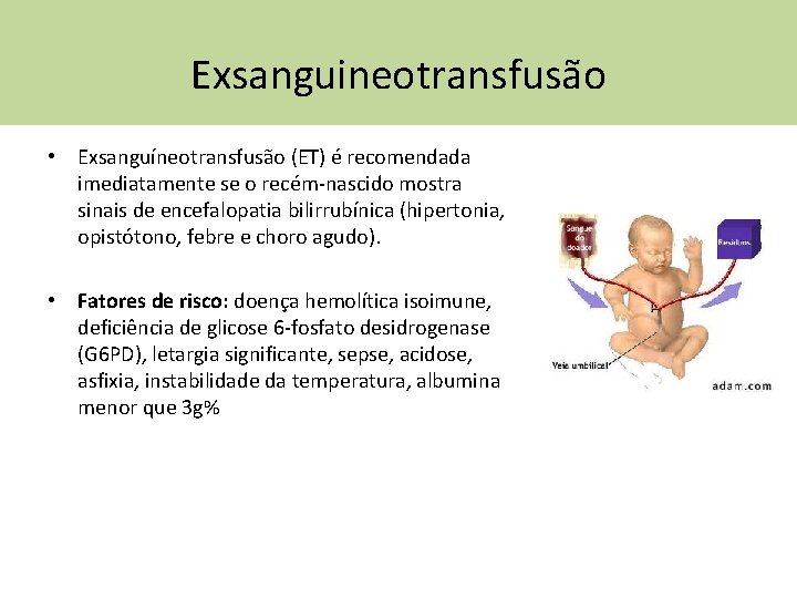 Exsanguineotransfusão • Exsanguíneotransfusão (ET) é recomendada imediatamente se o recém-nascido mostra sinais de encefalopatia