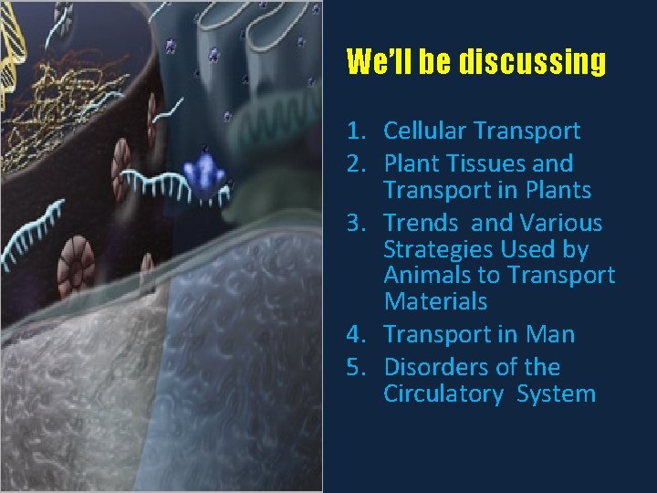 We’ll be discussing 1. Cellular Transport 2. Plant Tissues and Transport in Plants 3.