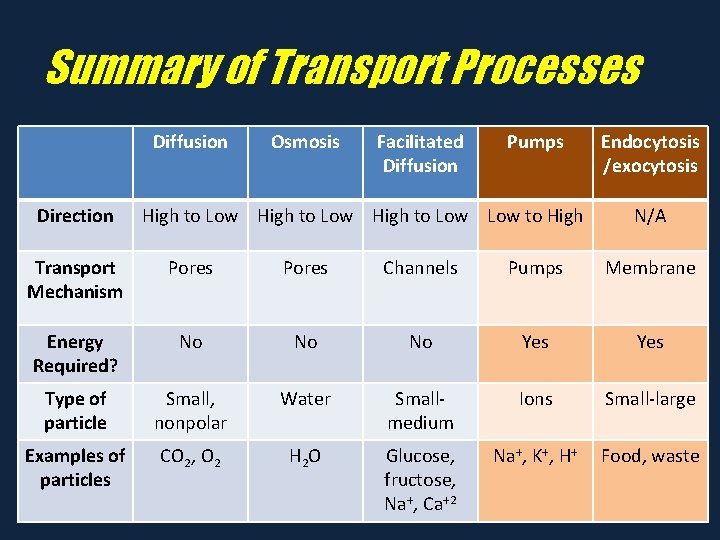 Summary of Transport Processes Diffusion Direction Osmosis Facilitated Diffusion Pumps High to Low to