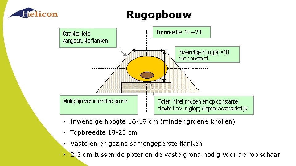 Rugopbouw • Inwendige hoogte 16 -18 cm (minder groene knollen) • Topbreedte 18 -23