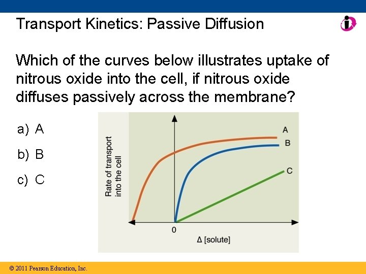 Transport Kinetics: Passive Diffusion Which of the curves below illustrates uptake of nitrous oxide