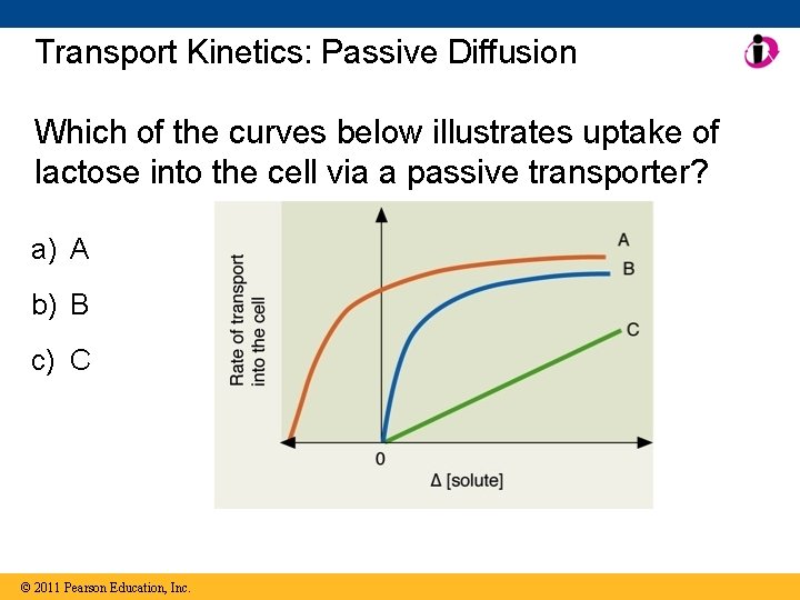 Transport Kinetics: Passive Diffusion Which of the curves below illustrates uptake of lactose into