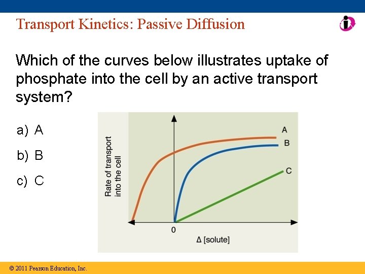 Transport Kinetics: Passive Diffusion Which of the curves below illustrates uptake of phosphate into