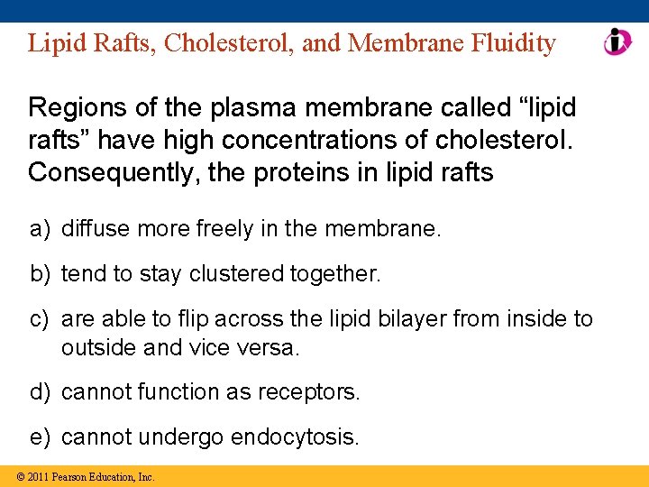 Lipid Rafts, Cholesterol, and Membrane Fluidity Regions of the plasma membrane called “lipid rafts”