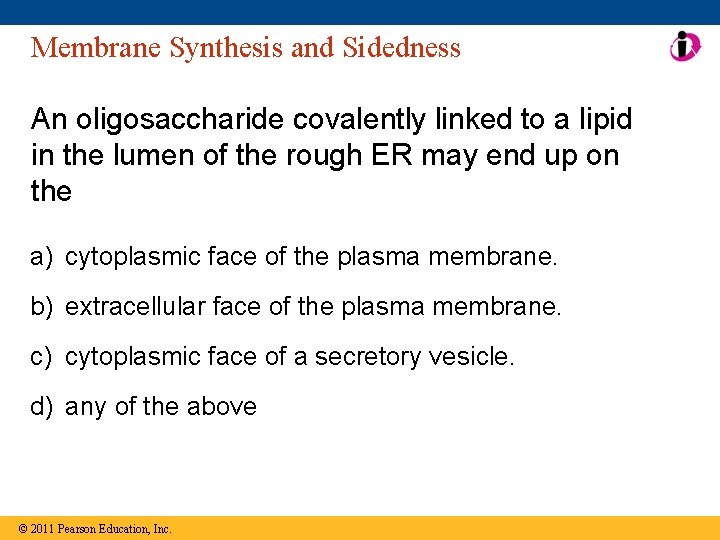 Membrane Synthesis and Sidedness An oligosaccharide covalently linked to a lipid in the lumen