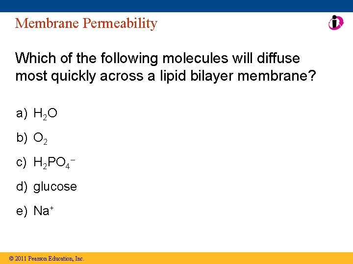 Membrane Permeability Which of the following molecules will diffuse most quickly across a lipid