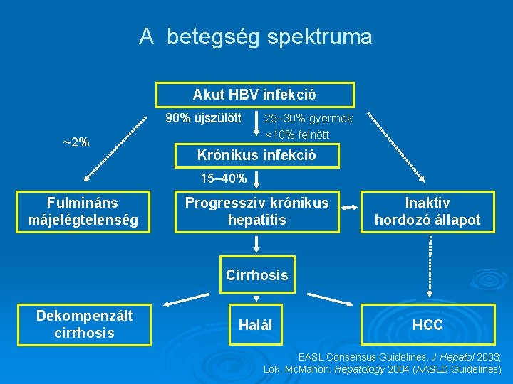 A betegség spektruma Akut HBV infekció 90% újszülött ~2% 25– 30% gyermek <10% felnőtt