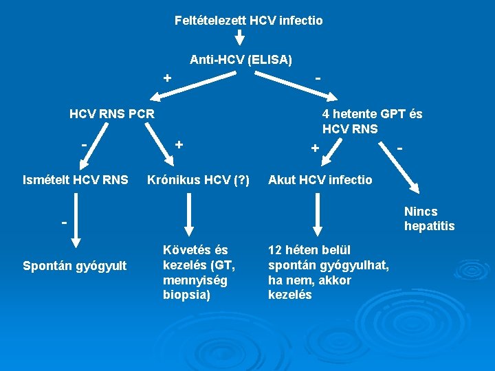 Feltételezett HCV infectio Anti-HCV (ELISA) + - HCV RNS PCR Ismételt HCV RNS +