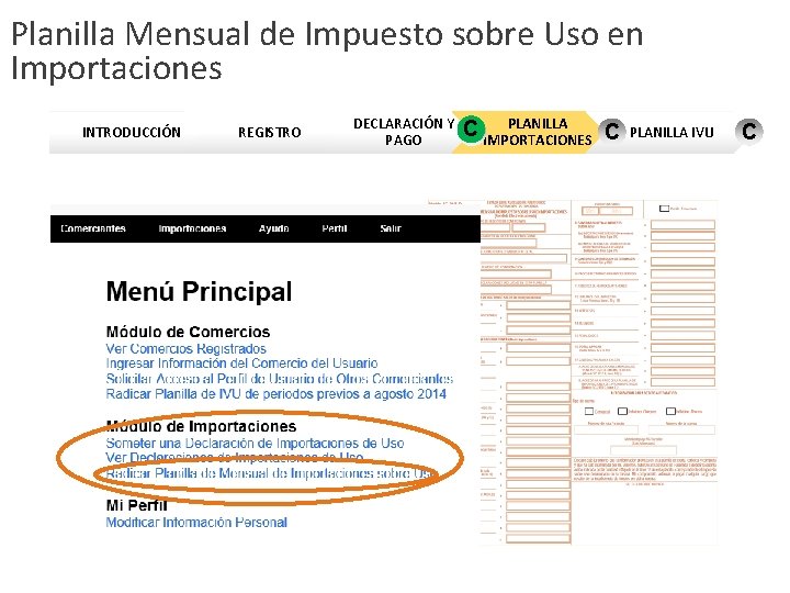 Planilla Mensual de Impuesto sobre Uso en Importaciones INTRODUCCIÓN REGISTRO DECLARACIÓN Y PAGO PLANILLA