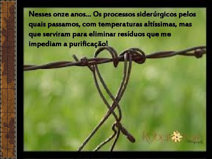 Nesses onze anos. . . Os processos siderúrgicos pelos quais passamos, com temperaturas altíssimas,