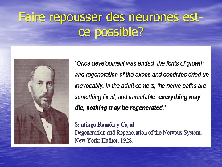 Faire repousser des neurones estce possible? 