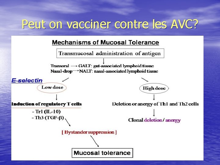 Peut on vacciner contre les AVC? 