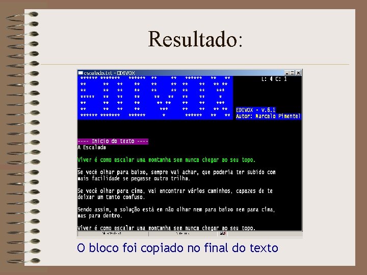 Resultado: O bloco foi copiado no final do texto 