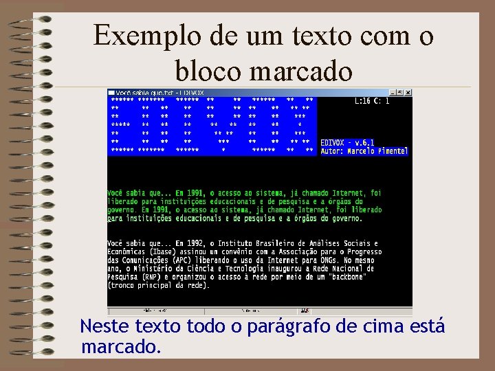 Exemplo de um texto com o bloco marcado Neste texto todo o parágrafo de