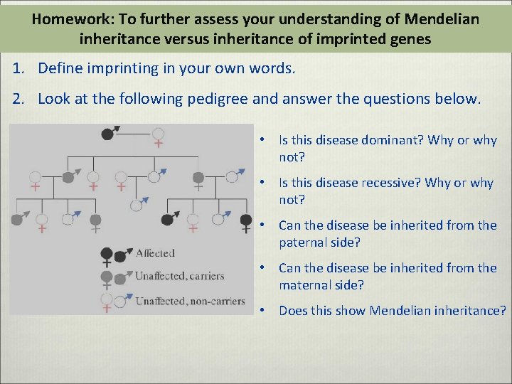 Homework: To further assess your understanding of Mendelian inheritance versus inheritance of imprinted genes