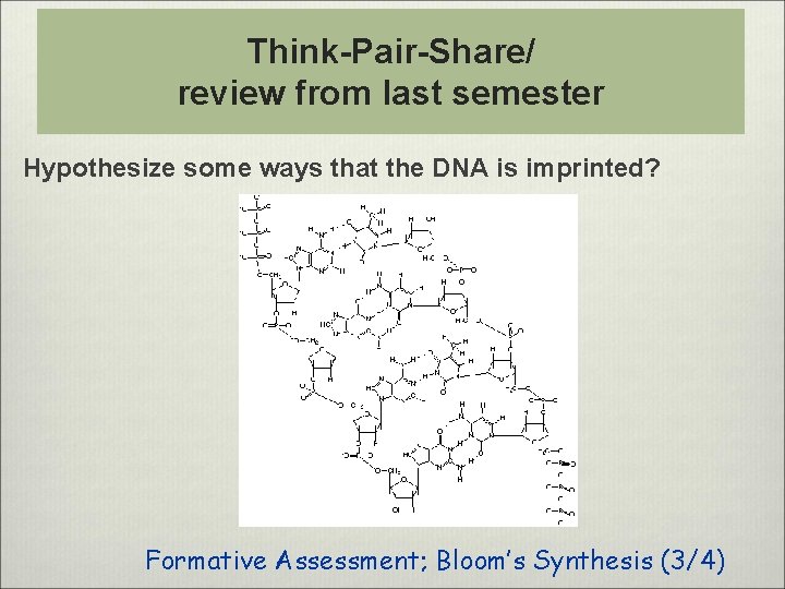 Think-Pair-Share/ review from last semester Hypothesize some ways that the DNA is imprinted? Formative