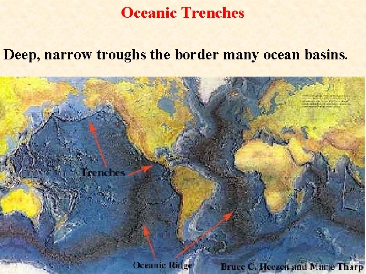 Oceanic Trenches Deep, narrow troughs the border many ocean basins. 
