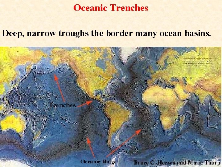 Oceanic Trenches Deep, narrow troughs the border many ocean basins. Oceanic Trenches Deep, narrow troughs the border many ocean basins.