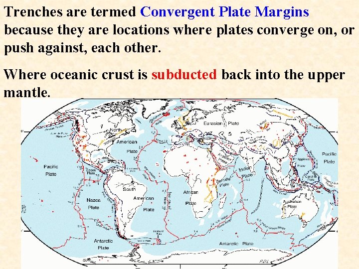 Trenches are termed Convergent Plate Margins because they are locations where plates converge on,
