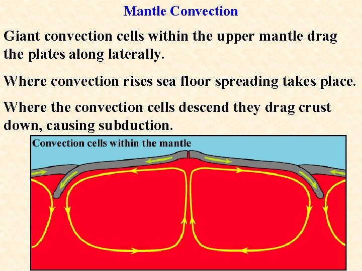 Mantle Convection Giant convection cells within the upper mantle drag the plates along laterally. Mantle Convection Giant convection cells within the upper mantle drag the plates along laterally.
