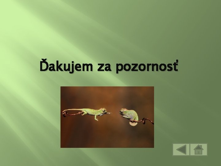 Ďakujem za pozornosť 