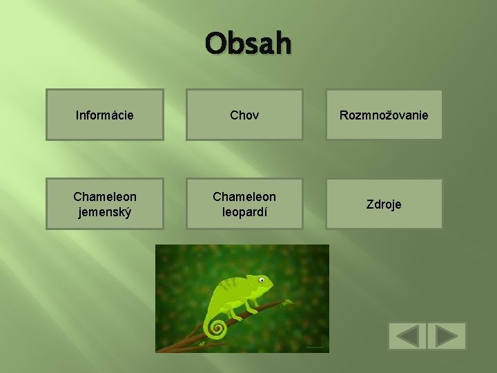 Obsah Informácie Chov Rozmnožovanie Chameleon jemenský Chameleon leopardí Zdroje 