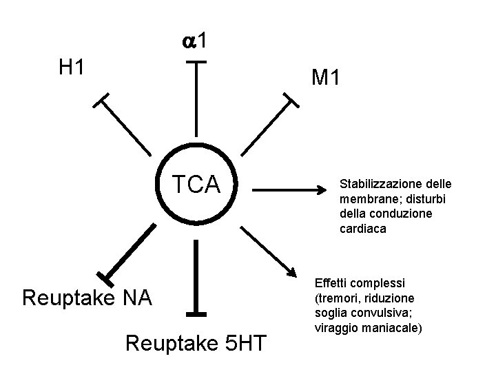  1 H 1 M 1 TCA Reuptake NA Reuptake 5 HT Stabilizzazione delle