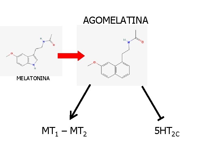 AGOMELATINA MELATONINA MT 1 – MT 2 5 HT 2 C 