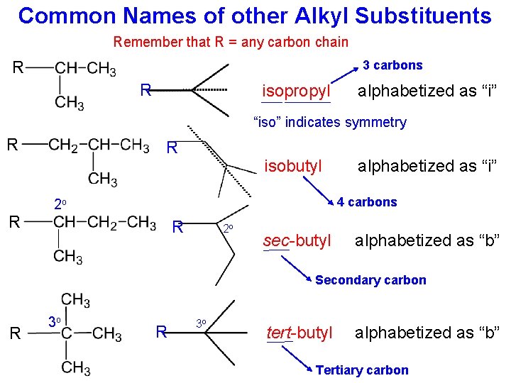 Common Names of other Alkyl Substituents Remember that R = any carbon chain 3