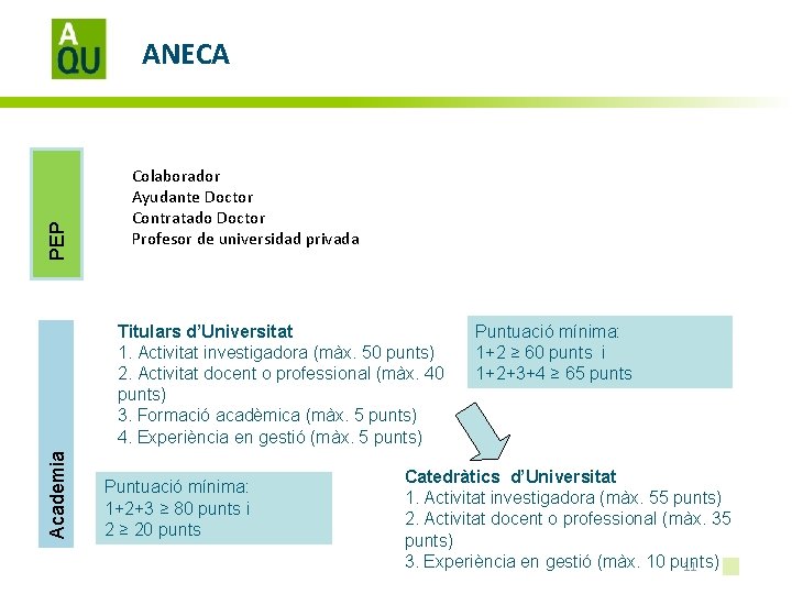 PEP ANECA Colaborador Ayudante Doctor Contratado Doctor Profesor de universidad privada Academia Titulars d’Universitat