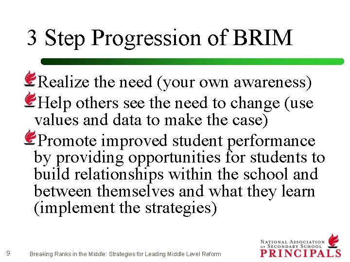 3 Step Progression of BRIM Realize the need (your own awareness) Help others see