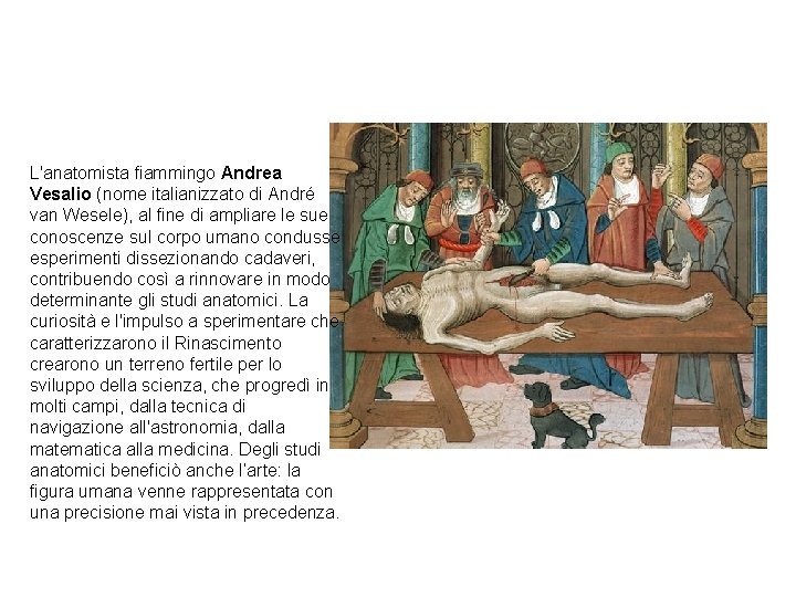L'anatomista fiammingo Andrea Vesalio (nome italianizzato di André van Wesele), al fine di ampliare