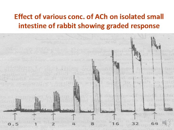 Effect of various conc. of ACh on isolated small intestine of rabbit showing graded